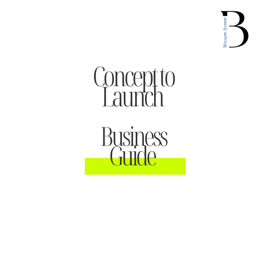 Concept to Launch Business Guide